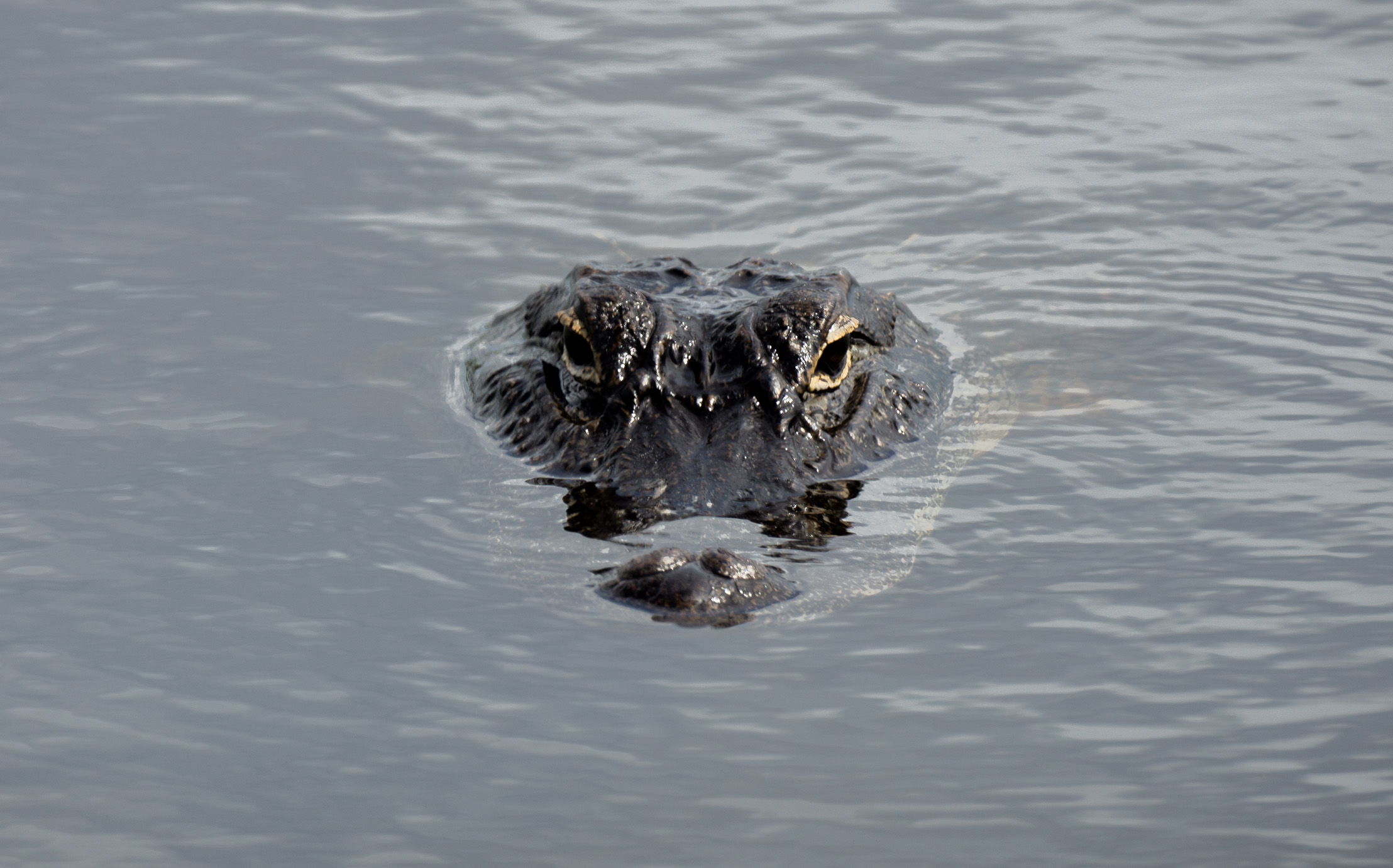 Come on in, the water's fine